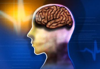 Skuteczne leki w celu poprawy funkcji mózgu i pamięć