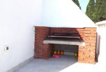 Barbecue in mattoni con un tetto per la casa o Country House