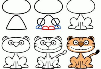 Como desenhar um tigre, desenhos animados e presente