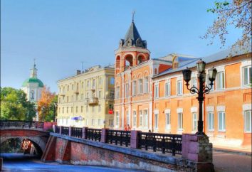 Descrizione e storia della città di Voronezh