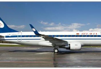 Airline «Belavia»: aviones Boeing 737-300 y Tu-154