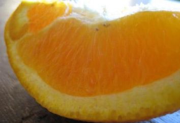 Naranja: significado y aplicación