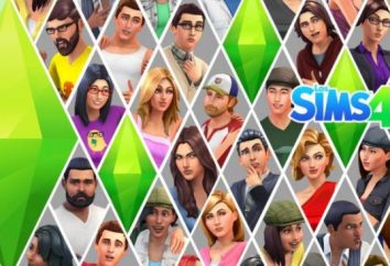 Sims 4: materiale aggiuntivo e altri contenuti