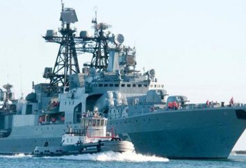 „Admirał Pantelejew” – duża wojskowe przeciwłodziowe statek: Opis, historia, skład i Ciekawostki