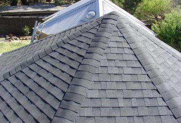 Flexible Dach: Typen, Geräteeinbau