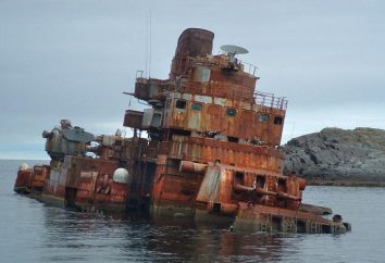 ¿Cómo vivió y murió crucero "Murmansk"