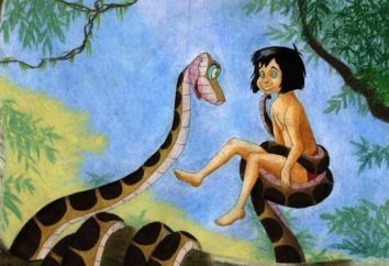Qual è stato il nome del constrictor boa di Mowgli Kipling: ricordiamo il carattere più spaventoso del Libro della giungla