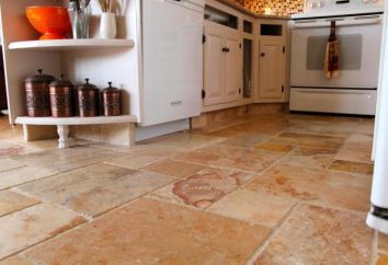 Las baldosas del suelo de la cocina y el pasillo – Efectivamente e higiénicamente