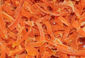 cenouras secas: as subtilezas de preparação, armazenamento e uso