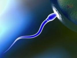 Quanti spermatozoi vivi nella vagina e l'ambiente?