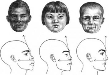 Jak narysować profil twarzy dziewczynki, dziecka i dorosłego samca