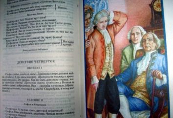Rileggendo i classici: Immagine Prostakova e il suo ruolo nella commedia Fonvizin "Oaf"