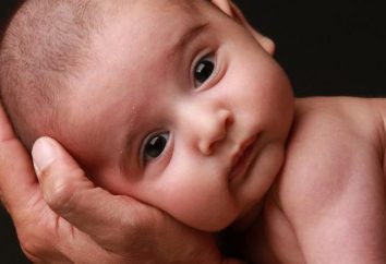 In wie vielen Monaten beginnt das Kind seinen Kopf zu halten: Tipps für Eltern
