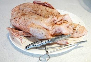 Cómo marinar un pato para hornear? Consejos sobre cómo debidamente y sabroso marinar un pato para hornear en el horno
