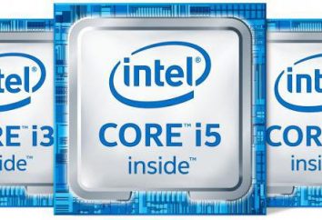 Ocena wydajności procesora Intel