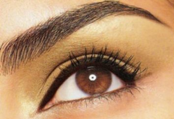 Wie wachsen die Augenbrauen: ein paar Tipps