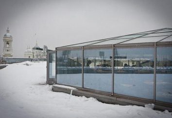 Restauracja "Makaronniki", Sankt Petersburg: funkcje, menu, kontakty i recenzje