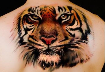 Wartości interesujący tatuaż. Tiger w różnych kulturach