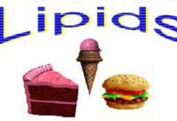 Lipidy – co to jest? Lipidy: funkcja, cechy