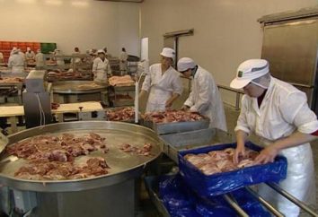 Fleischverarbeitungsbetrieb als sein eigenes Geschäft