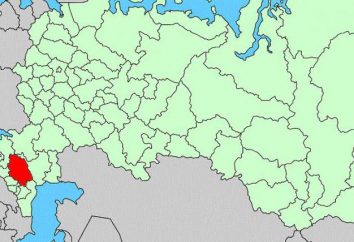 Il numero della popolazione di Stavropol. Popolazione e occupazione di Stavropol