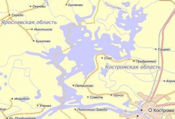 Kostroma mar: fotos, história da educação. Onde está o mar Kostroma?