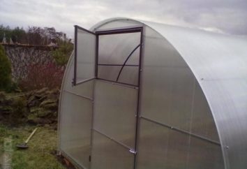 Greenhouses d'un tube en forme avec ses mains: dessins, schémas