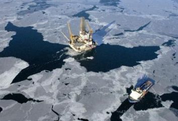 Jakie są rezerwy ropy naftowej w Rosji?