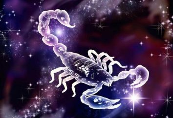 O que é – Scorpio-man (Dragon)? características pessoais e características