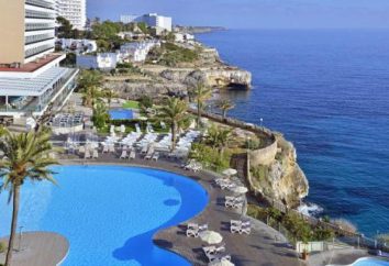 Hotel Sol Calas de Mallorca 4 * (Spagna, Mallorca): descrizione, servizi, recensioni