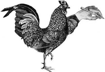 "Scratch chicken Ti piace": il valore phraseologism. Idiom con la parola "pollo"