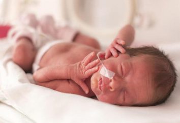 La cura per i neonati prematuri ricoverati in ospedale e dopo la dimissione