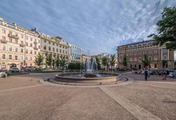 Manege Square, Petersburg: historia, opis i lokalizację ciekawostki