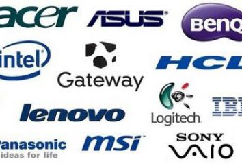 Laptops: a classificação. A marca mais popular, suas características