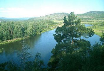 Río Shilka – las principales características y valor económico