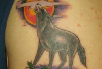 Jakie są konsekwencje tatuaży wilka?