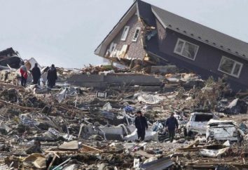 L'épicentre du séisme – une magnitude du tremblement de terre …