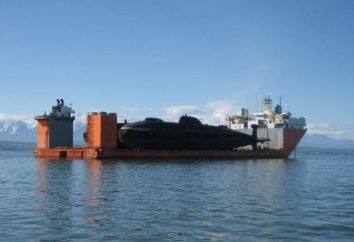 El transporte marítimo. clasificación de los barcos