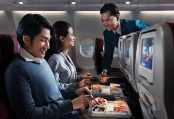 "Malaysia Airlines": recensioni