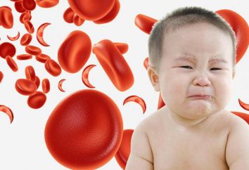 L'homéopathie pour l'hémoglobine augmente. Comment augmenter l'hémoglobine?