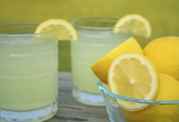 Wie Limonade zu Hause zu machen: Kochen Tipps