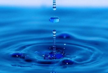 méthode japonaise de traitement de l'eau: une description détaillée, avis