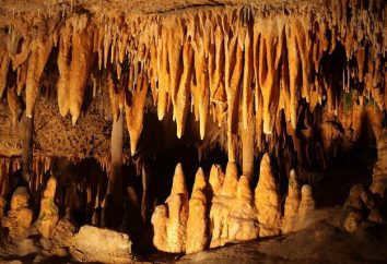 Stalactites et stalagmites – quelle est la différence?