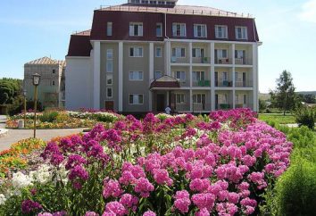 Wielodyscyplinarny klinika „Keys” (sanatorium Perm terytorium) oraz usługi hotelarskie