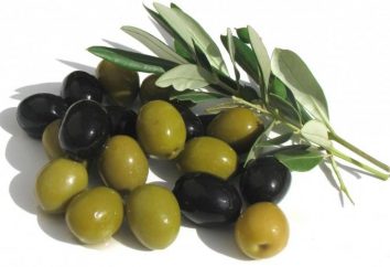 Vamos a entender con qué diferentes aceitunas del olivo