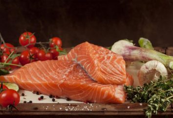 O que você pode fazer do salmão: receitas