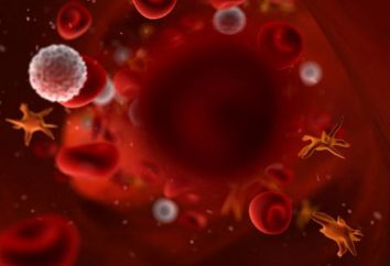 Comment augmenter les plaquettes dans le sang: Recettes santé