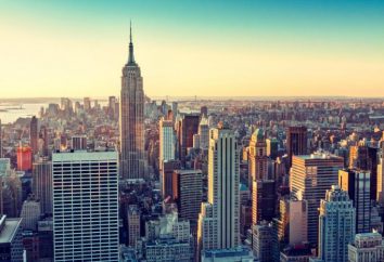 Nueva York – la ciudad más grande en los EE.UU.