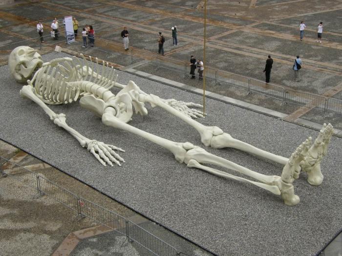 Riesen Skelett