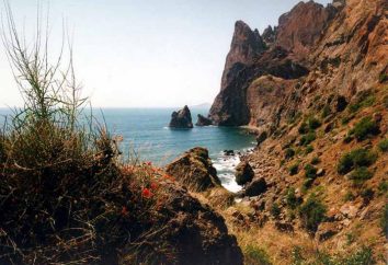 Schöne Natur der Krim. Vor allem die Natur der Krim